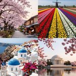 Spring travel destinations book early