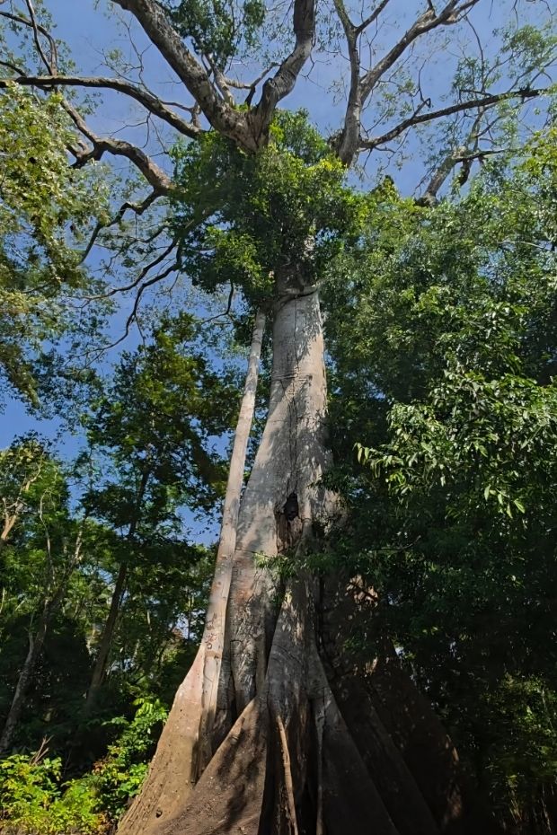 10 Amazing Brazil Destinations From Rio to Amazon Rainforest