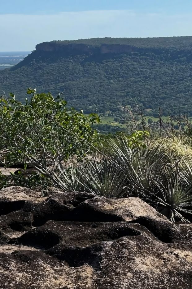 10 Amazing Brazil Destinations From Rio to Amazon Rainforest