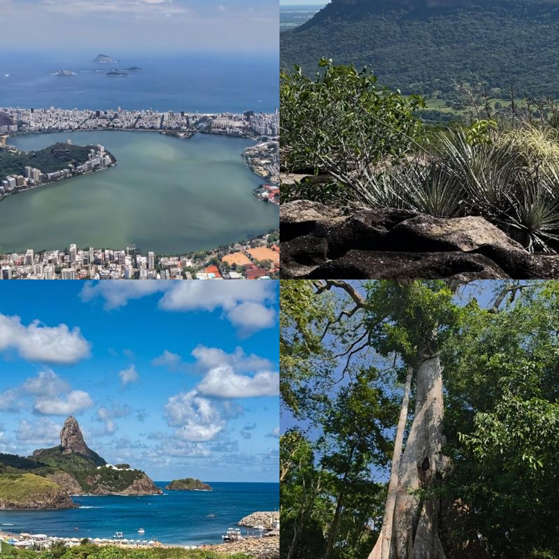 Amazing brazil destinations rio amazon rainforest