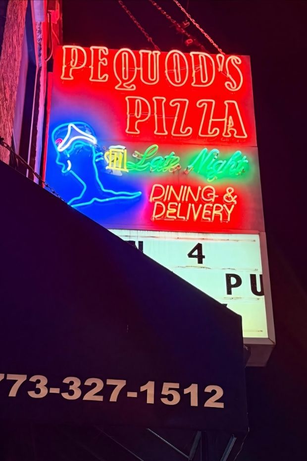 12 Amazing Chicago Things to Do for Architecture and Deep-Dish Pizza