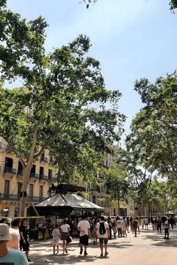 12 Best Barcelona Attractions From Gaudi to Mediterranean Magic