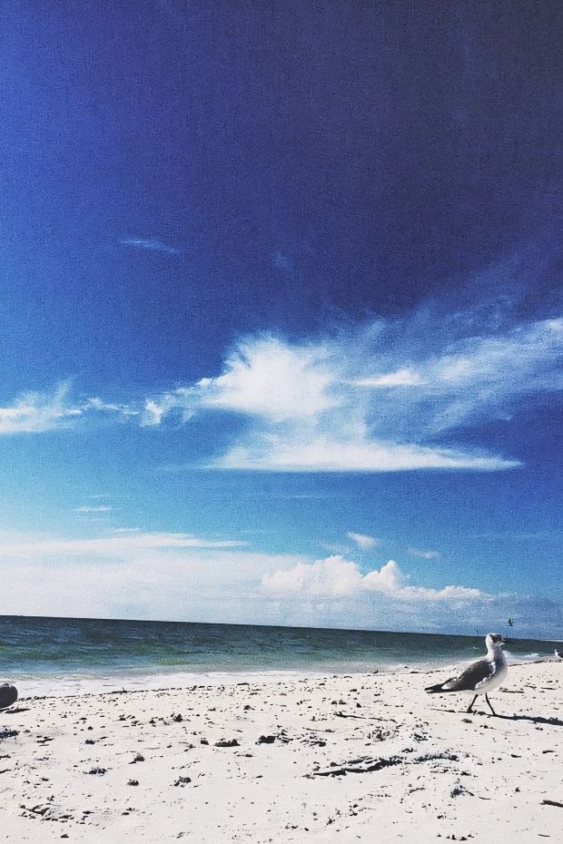 15 Best Florida Destinations in the Sunshine State Travel Guide