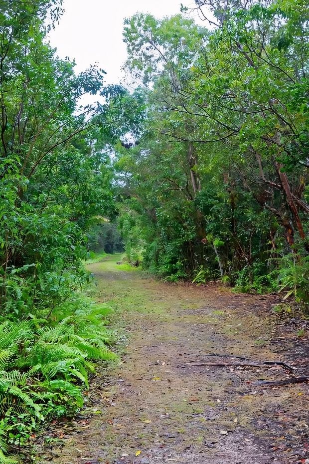 15 Best Florida Destinations in the Sunshine State Travel Guide