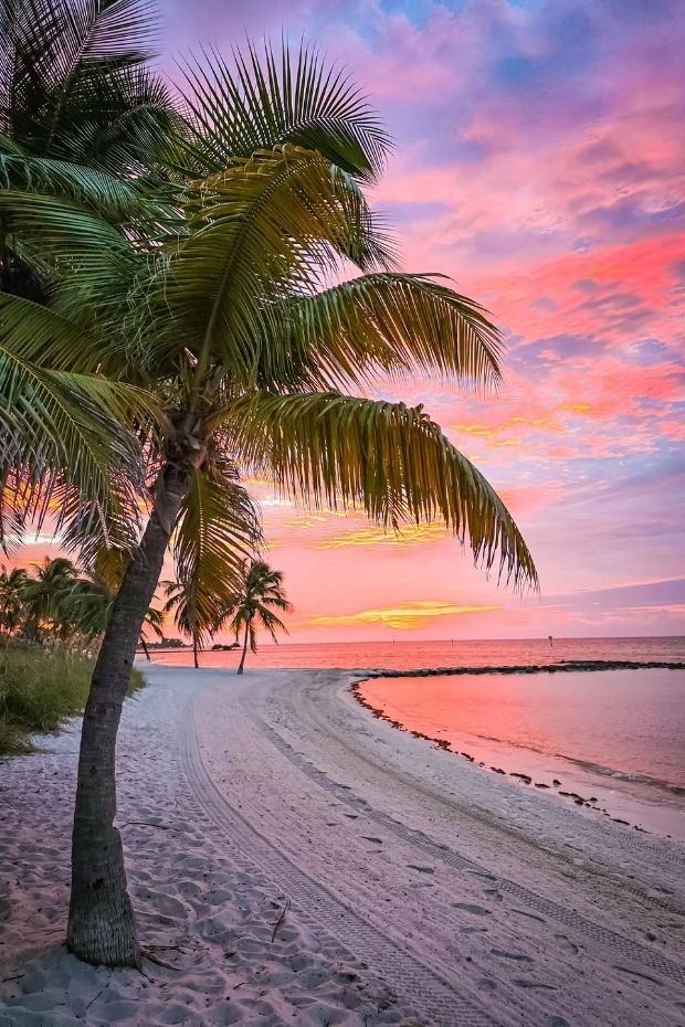 14 Best Florida Vacation Spots for Your Dream Tropical Getaway