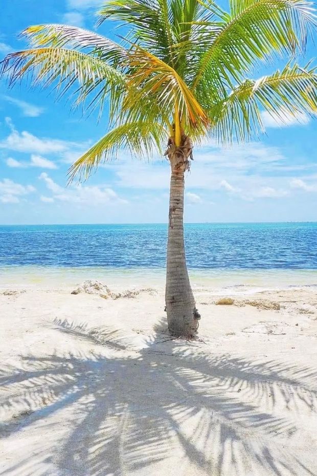 14 Best Florida Vacation Spots for Your Dream Tropical Getaway