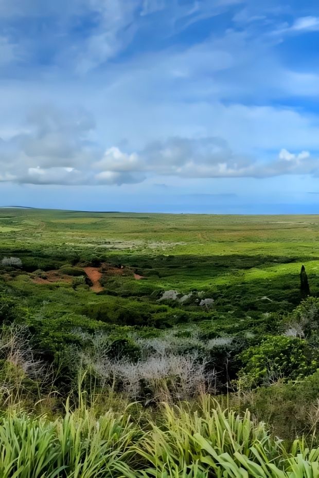 14 Best Hawaii Islands to Visit for Your Tropical Paradise