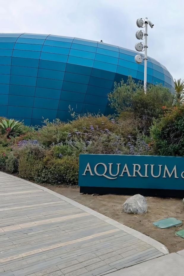 14 Best Long Beach California Attractions and Beach City Adventures