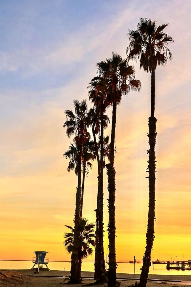 14 Best Long Beach California Attractions and Beach City Adventures