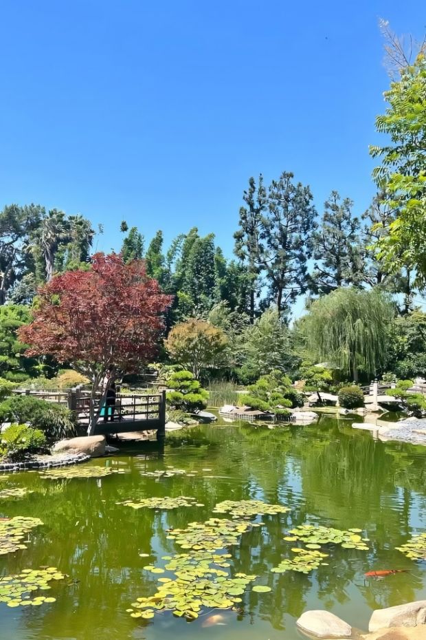 14 Best Long Beach California Attractions and Beach City Adventures