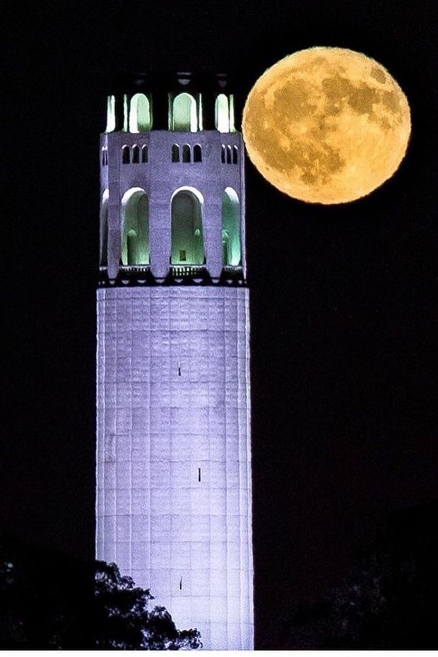 13 Best San Francisco Things to Do From Golden Gate and Beyond