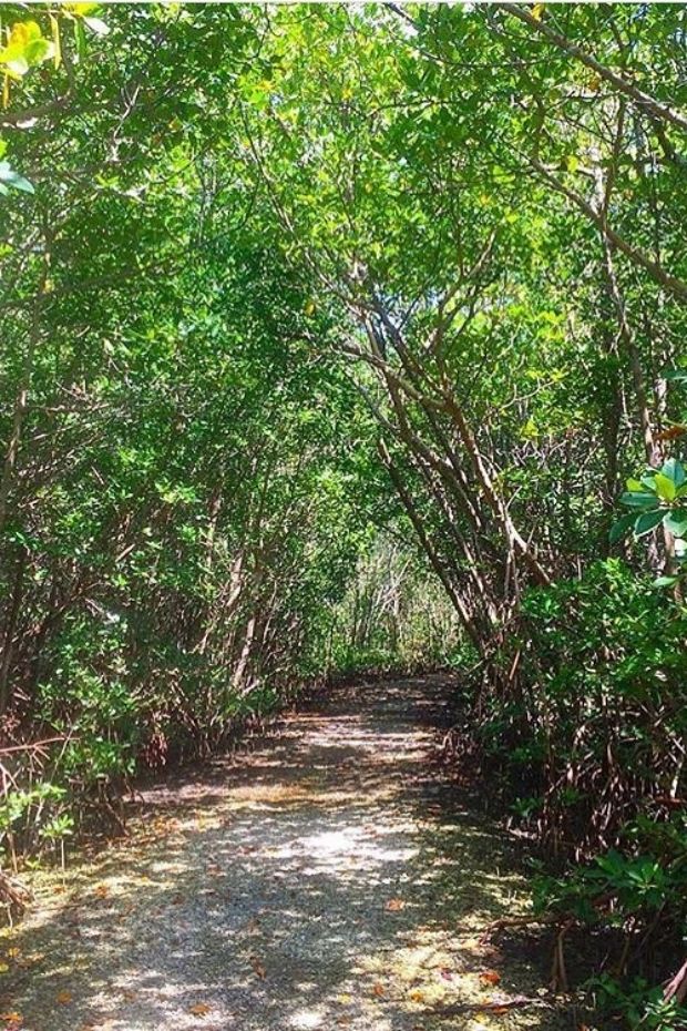 14 Best Things to Do in Fort Lauderdale Florida Beyond the Beach