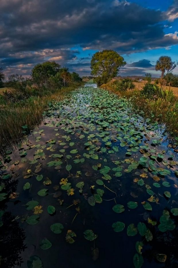 14 Best Things to Do in Fort Lauderdale Florida Beyond the Beach