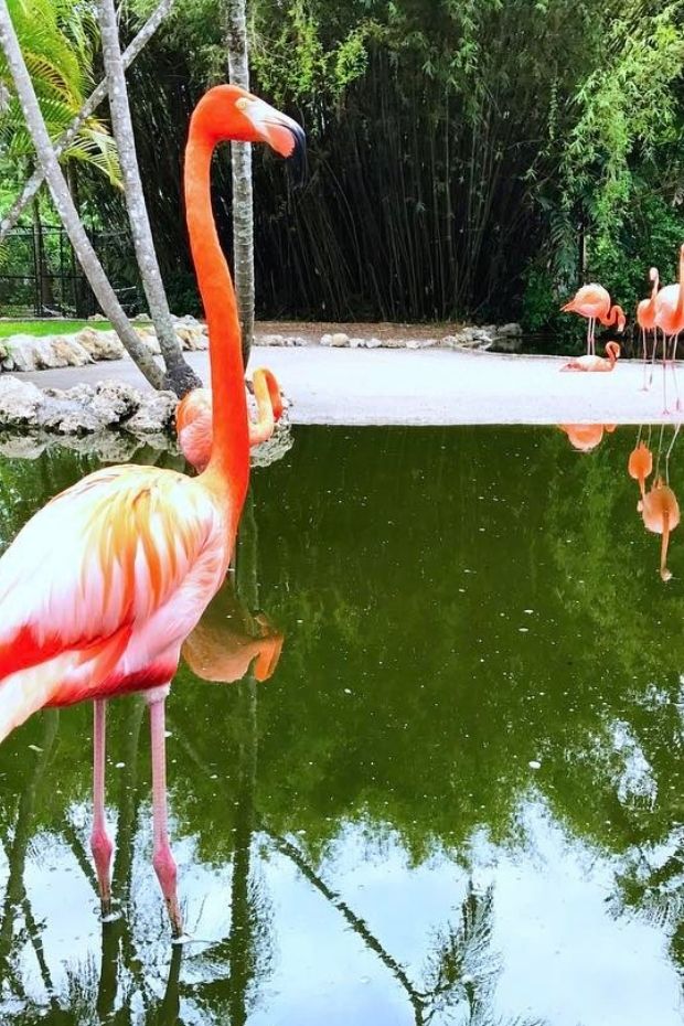 14 Best Things to Do in Fort Lauderdale Florida Beyond the Beach