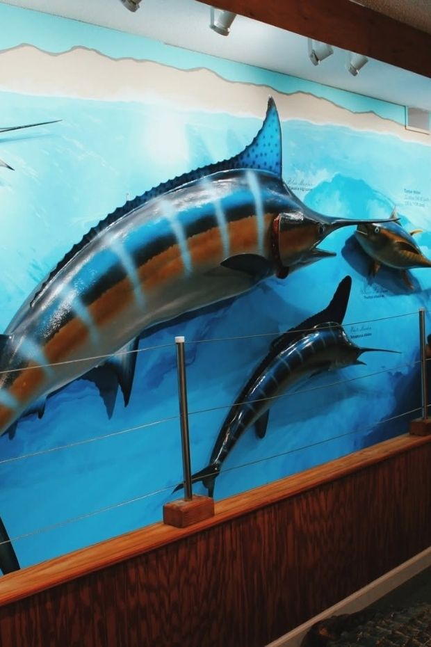 12 Best Things to Do in Destin Florida Beach Paradise