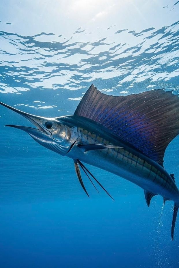 12 Best Things to Do in Destin Florida Beach Paradise