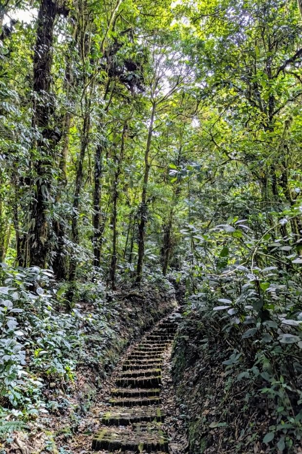 14 Costa Rica Adventures Through Rainforests Beaches and Wildlife