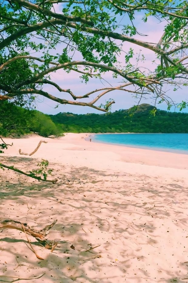 14 Costa Rica Adventures Through Rainforests Beaches and Wildlife