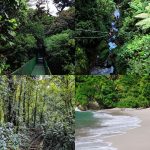 Costa rica adventures rainforests beaches wildlife