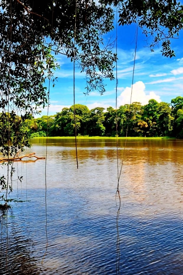 14 Costa Rica Adventures Through Rainforests Beaches and Wildlife