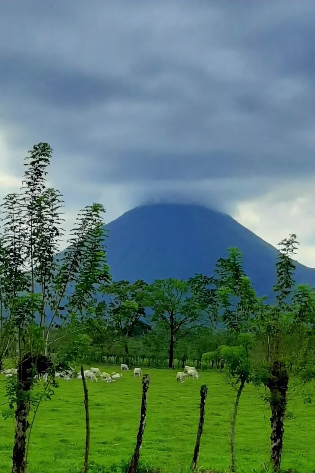 14 Costa Rica Adventures Through Rainforests Beaches and Wildlife