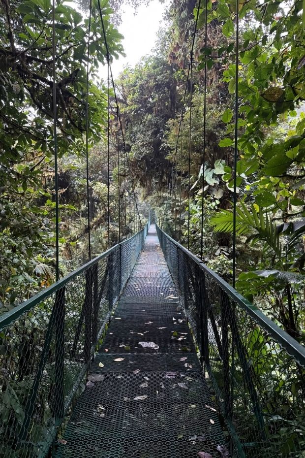 14 Costa Rica Adventures Through Rainforests Beaches and Wildlife