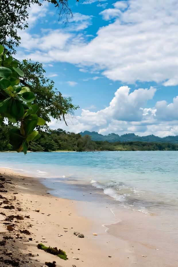 14 Costa Rica Adventures Through Rainforests Beaches and Wildlife