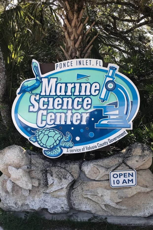 11 Top Daytona Beach Florida Activities for Racing and Beaches