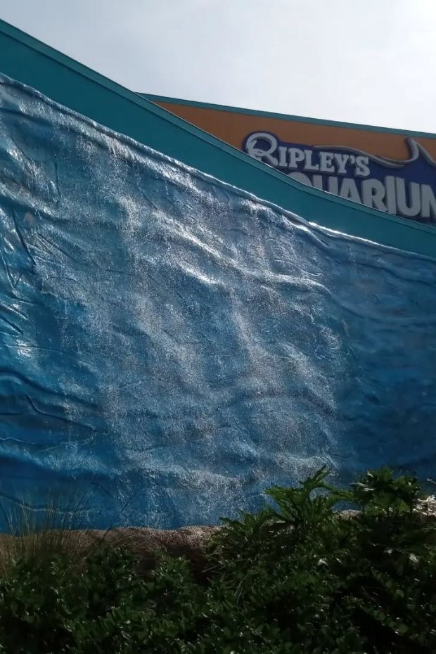 15 Fun Things to Do in Myrtle Beach Complete Vacation Guide