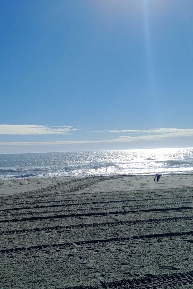 15 Fun Things to Do in Myrtle Beach Complete Vacation Guide