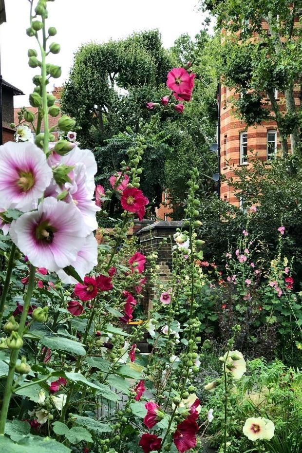 15 Perfect London Summer Activities and City Guide