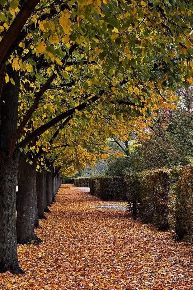 15 Perfect London Summer Activities and City Guide