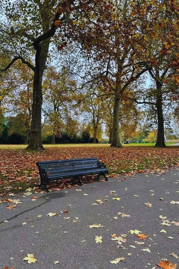 15 Perfect London Summer Activities and City Guide