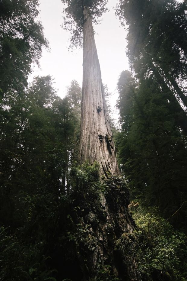 13 Must-See California Destinations for Golden State Road Trip