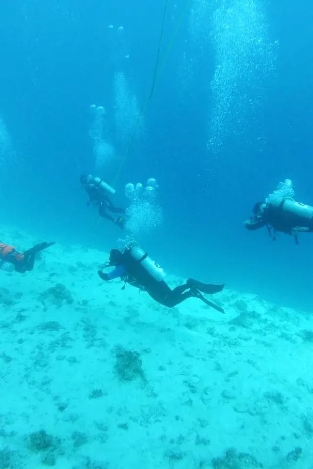 13 Best Orange Beach Alabama Activities for Your Gulf Shores Getaway