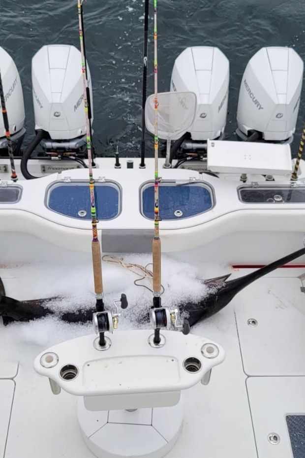 13 Best Orange Beach Alabama Activities for Your Gulf Shores Getaway