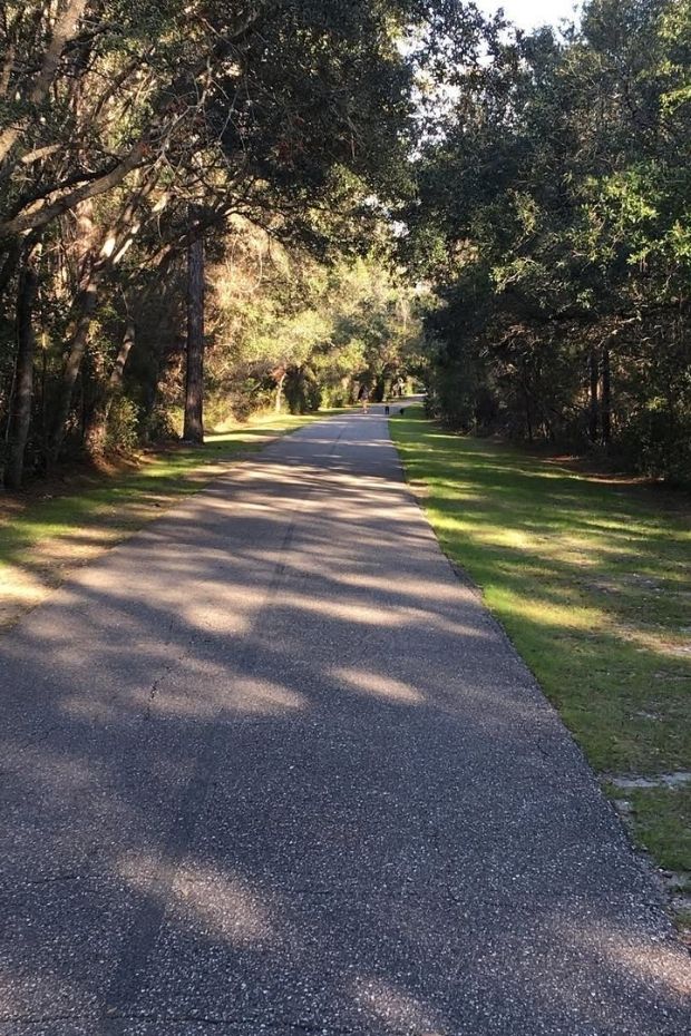 13 Best Orange Beach Alabama Activities for Your Gulf Shores Getaway