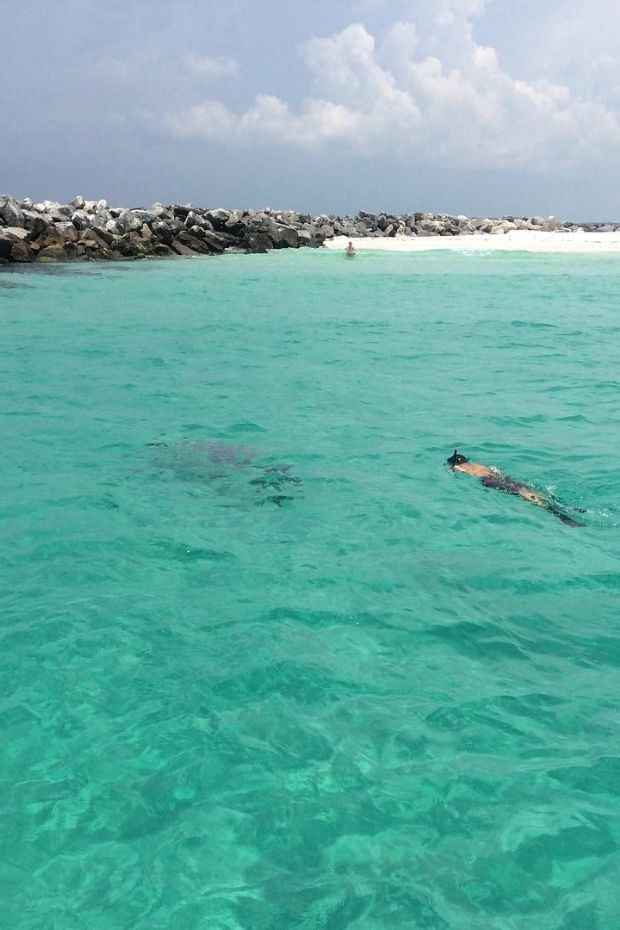 11 Top Panama City Beach Florida Attractions for Beach Lovers