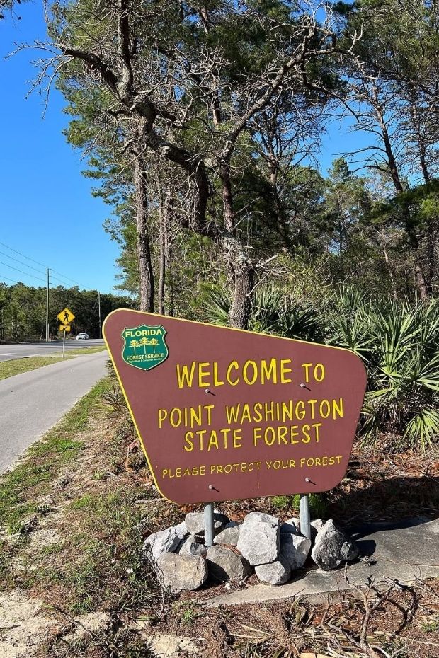 12 Reasons to Visit Seaside Florida The Perfect Coastal Town