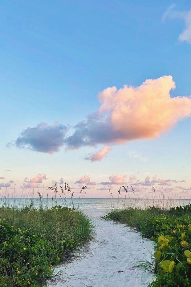 13 Best Sanibel Island Florida Attractions for Shelling and Beyond