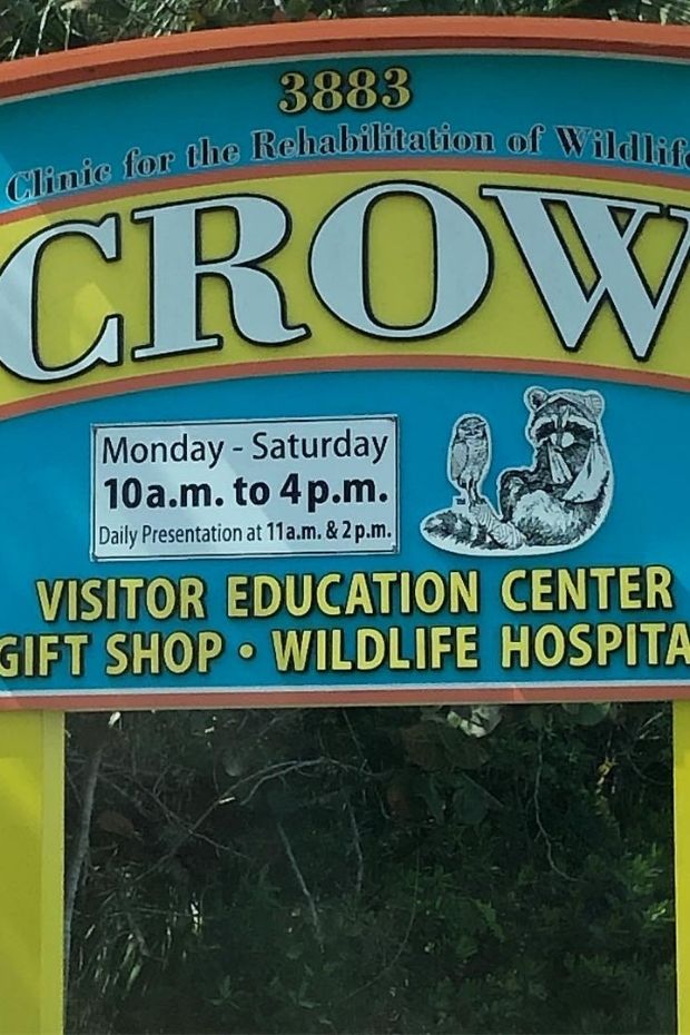 13 Best Sanibel Island Florida Attractions for Shelling and Beyond