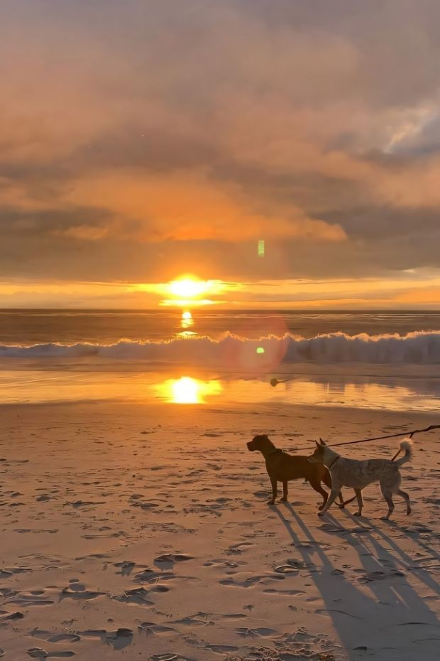 10 Enchanting Things to Do in Carmel by the Sea California