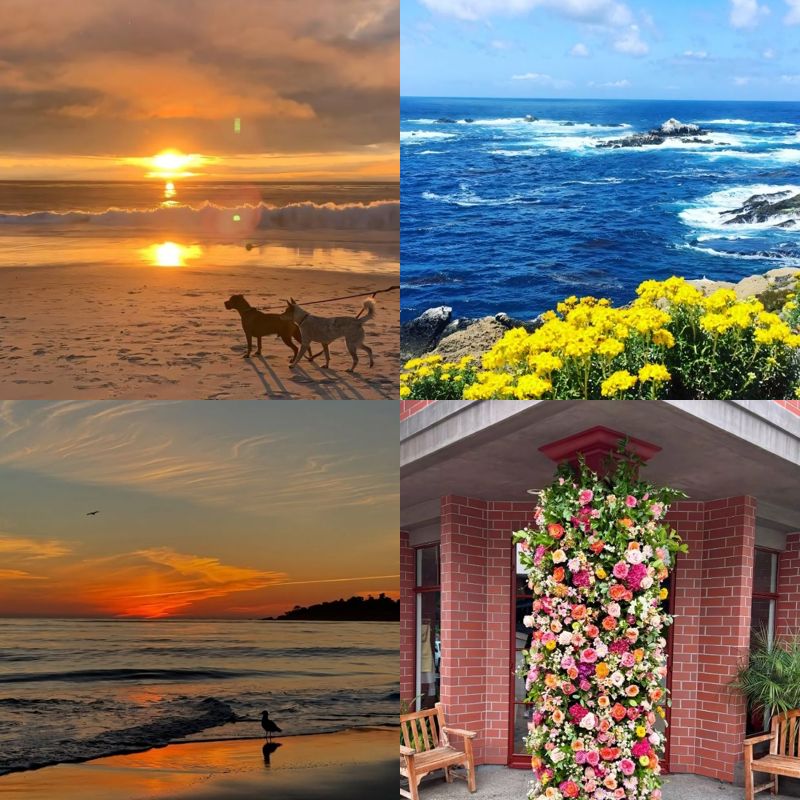 Things to do carmel by the sea california