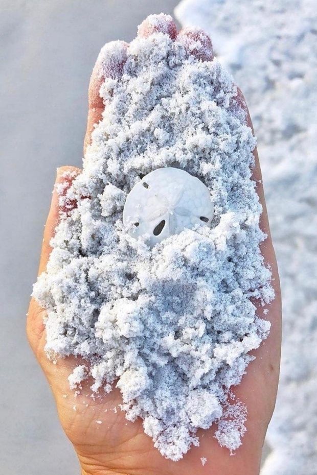 11 Amazing Things to Do in Siesta Key Florida Beach Lovers Paradise