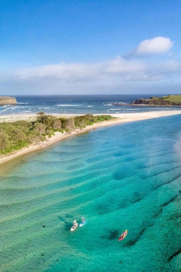 11 Amazing Things to Do in Siesta Key Florida Beach Lovers Paradise