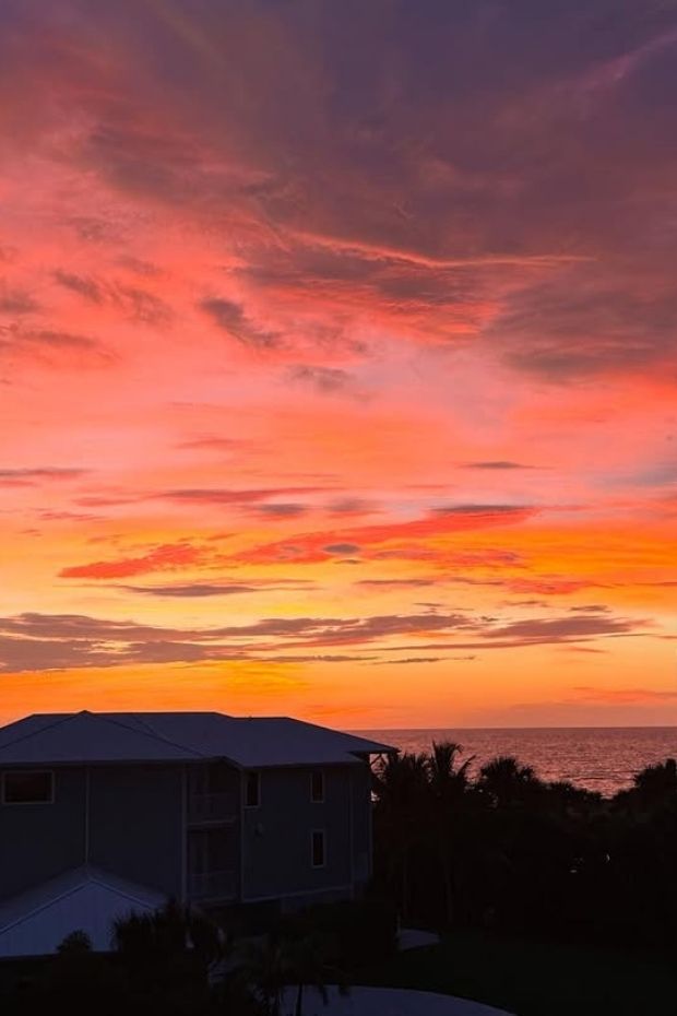 11 Amazing Things to Do in Siesta Key Florida Beach Lovers Paradise