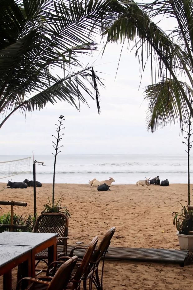 13 Best Beaches and Hidden Gems in Goa for Every Type of Traveler