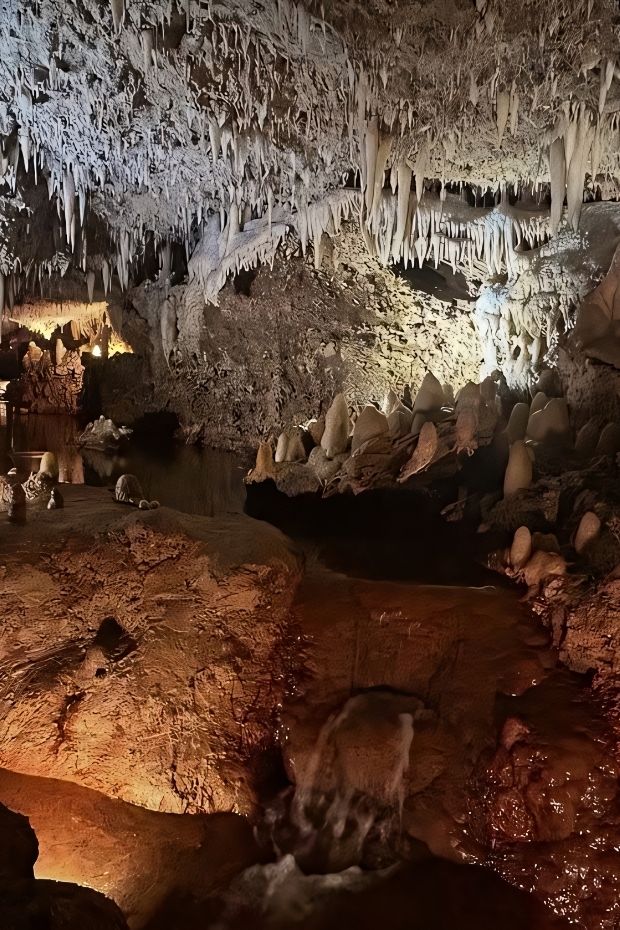 11 Best Things to Do in Barbados for the Ultimate Caribbean Getaway