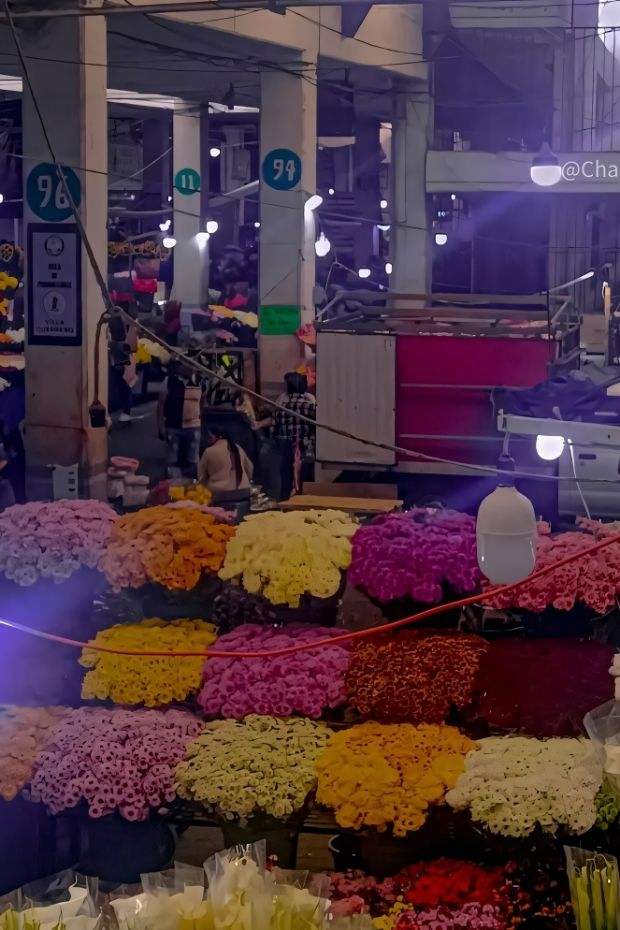 12 Best Things to Do in Hanoi Vietnam That Will Blow Your Mind