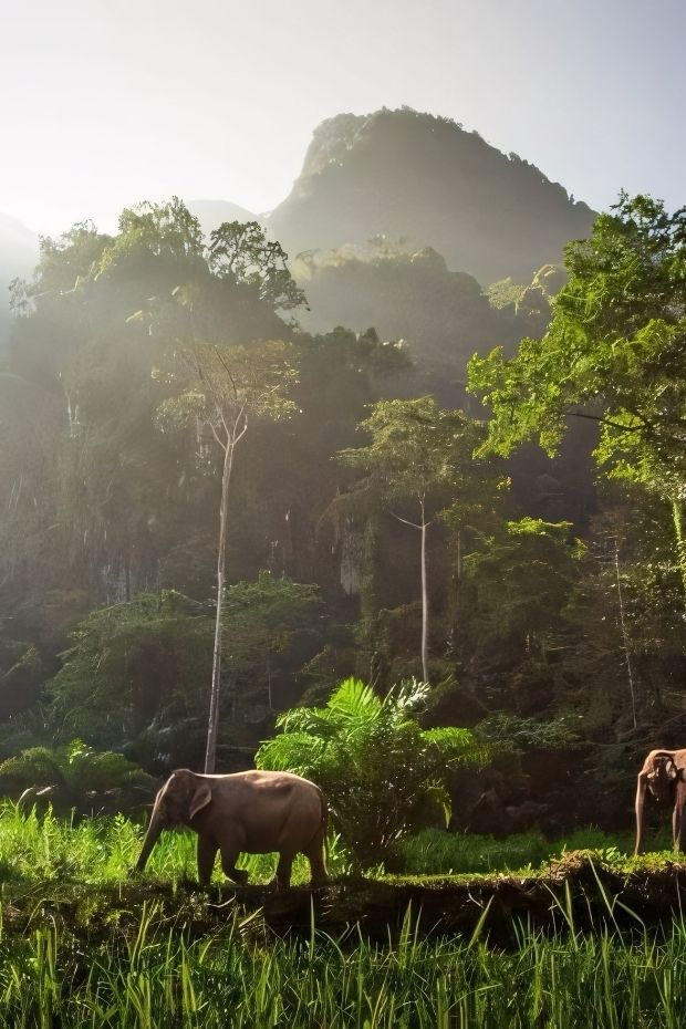 13 Best Things to Do in Krabi Thailand for Beaches and Beyond